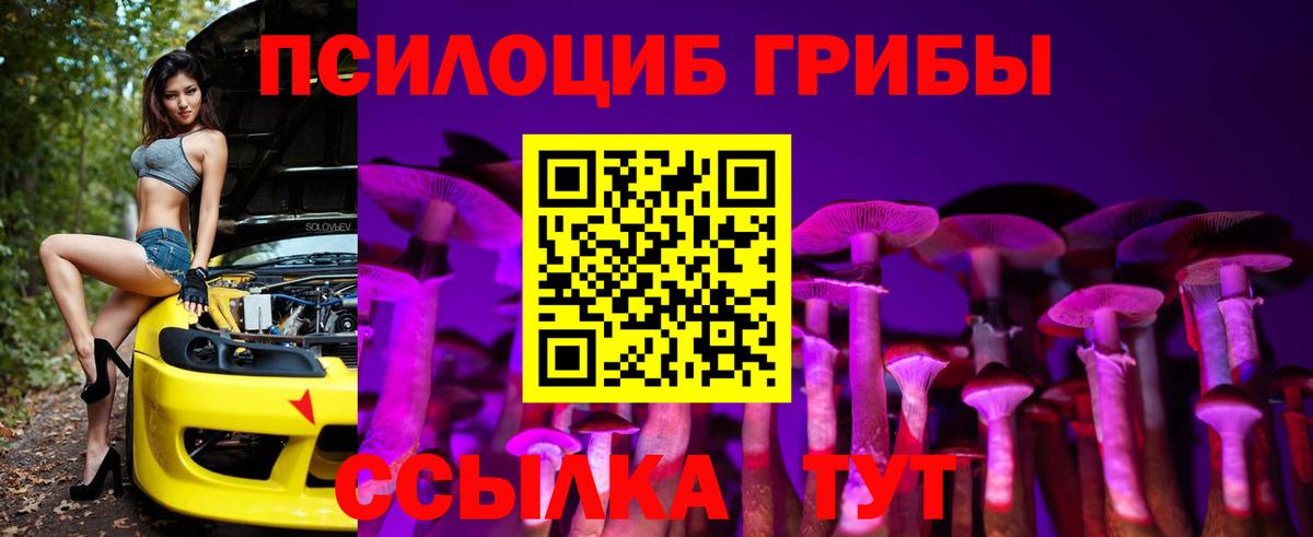 Галлюциногенные грибы Cubensis Лесной
